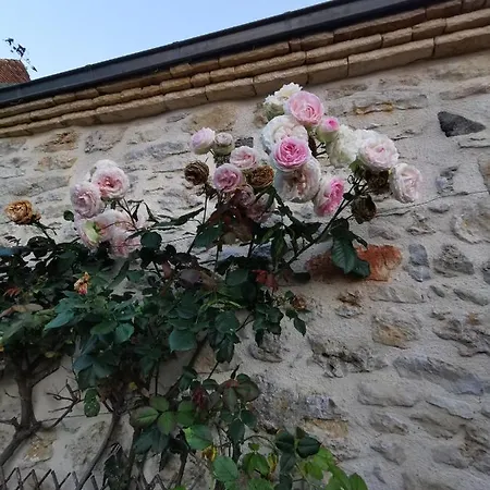 Les Chambres De La Sorciere Verte Bed & Breakfast *